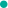 公牛集团(603195)�：24年新业务快速增长 25Q1平稳开局